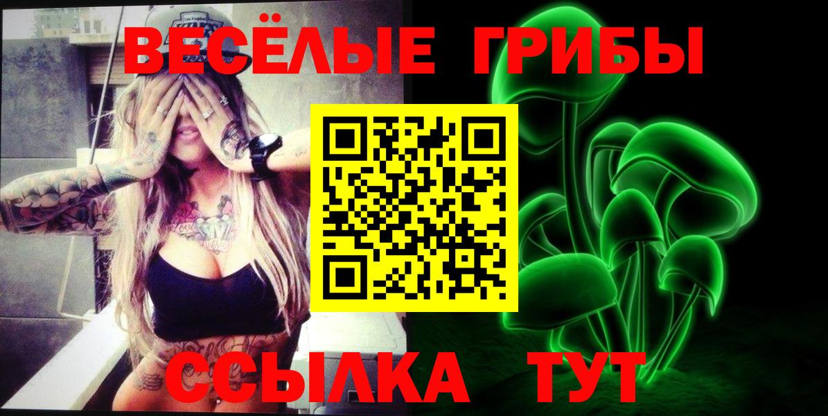 Псилоцибиновые грибы GOLDEN TEACHER  Вход с VPN  как найти наркотики  Зерноград  Псилоцибиновые грибы ЛСД 