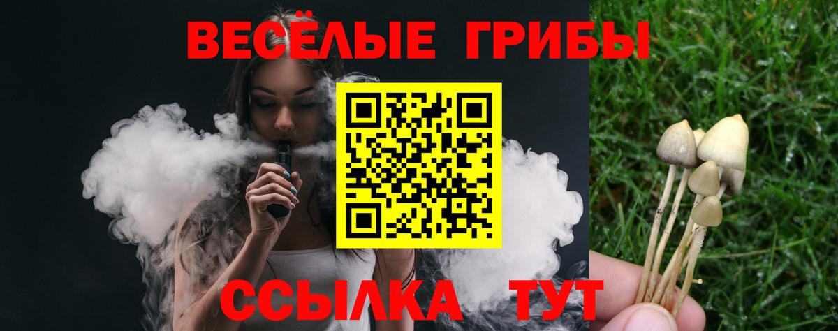 Псилоцибиновые грибы GOLDEN TEACHER Зерноград